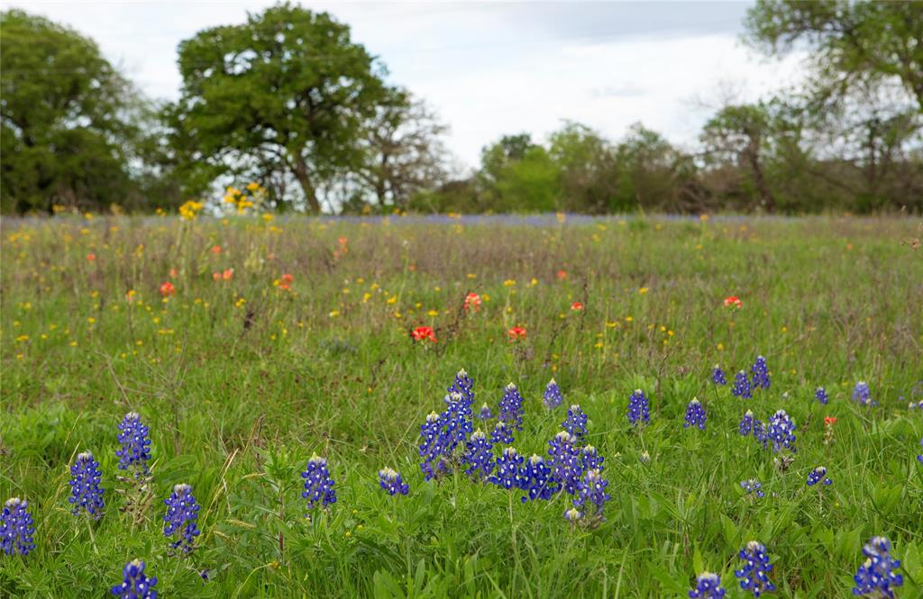 187 County Road 6606, Dayton, Texas image 7