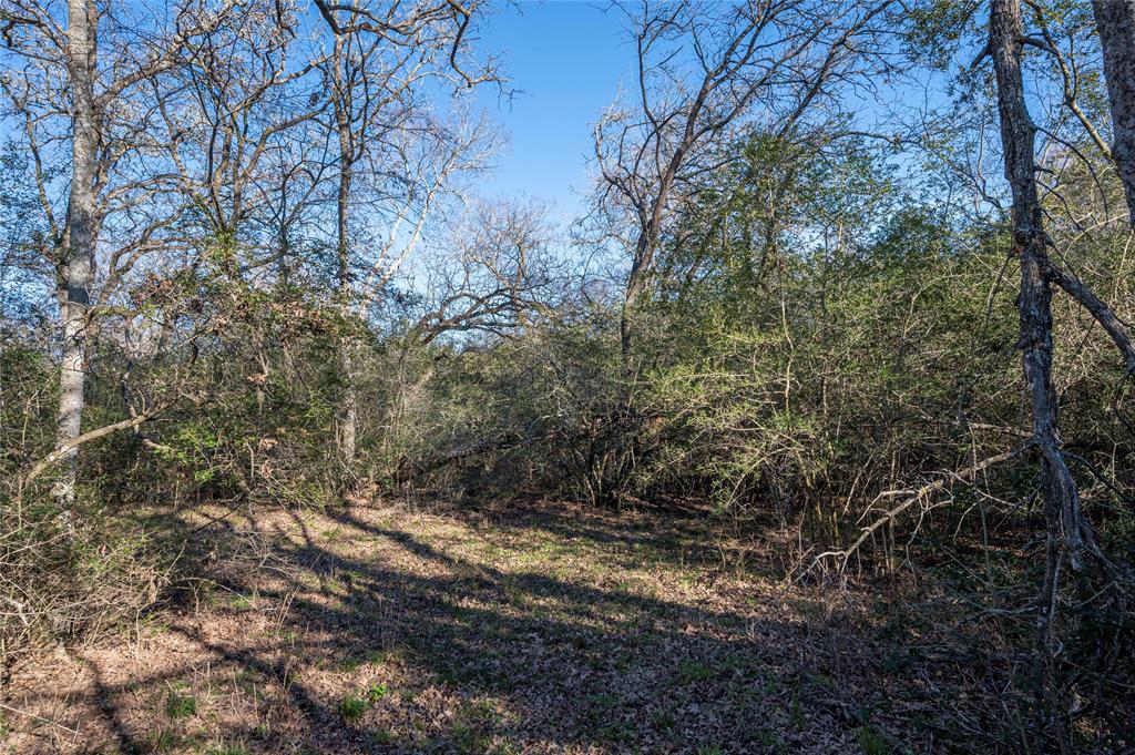 187 County Road 6606, Dayton, Texas image 8