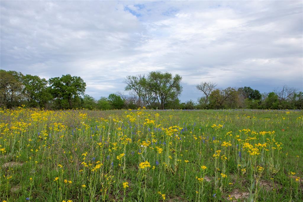 187 County Road 6606, Dayton, Texas image 14