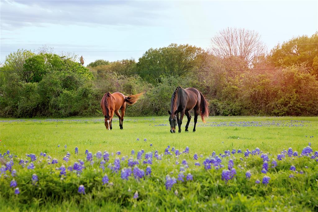 187 County Road 6606, Dayton, Texas image 11