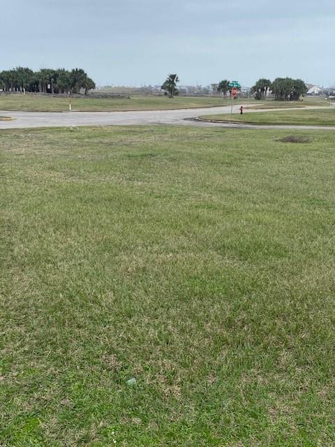 000 County Road 627 Nar, Brazoria, Texas image 4