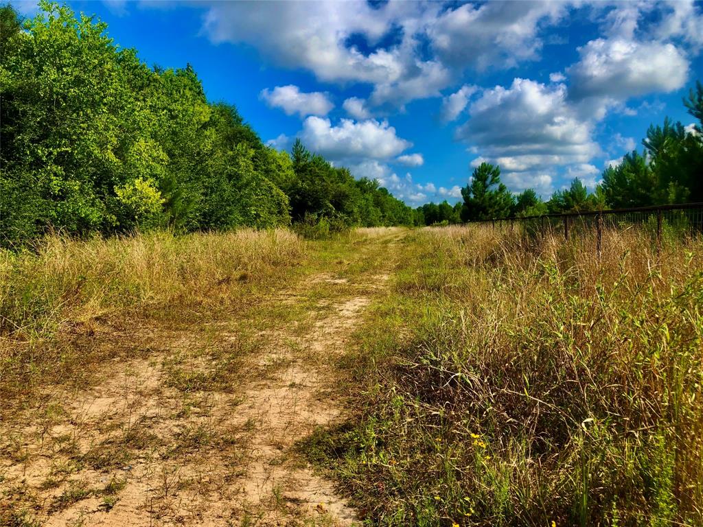 7800 Bowen Street, Houston, Texas image 12