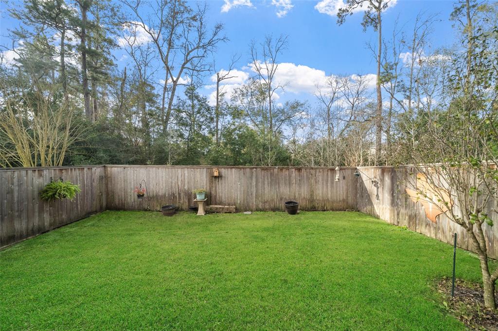 148 Skybranch Drive, Conroe, Texas image 34