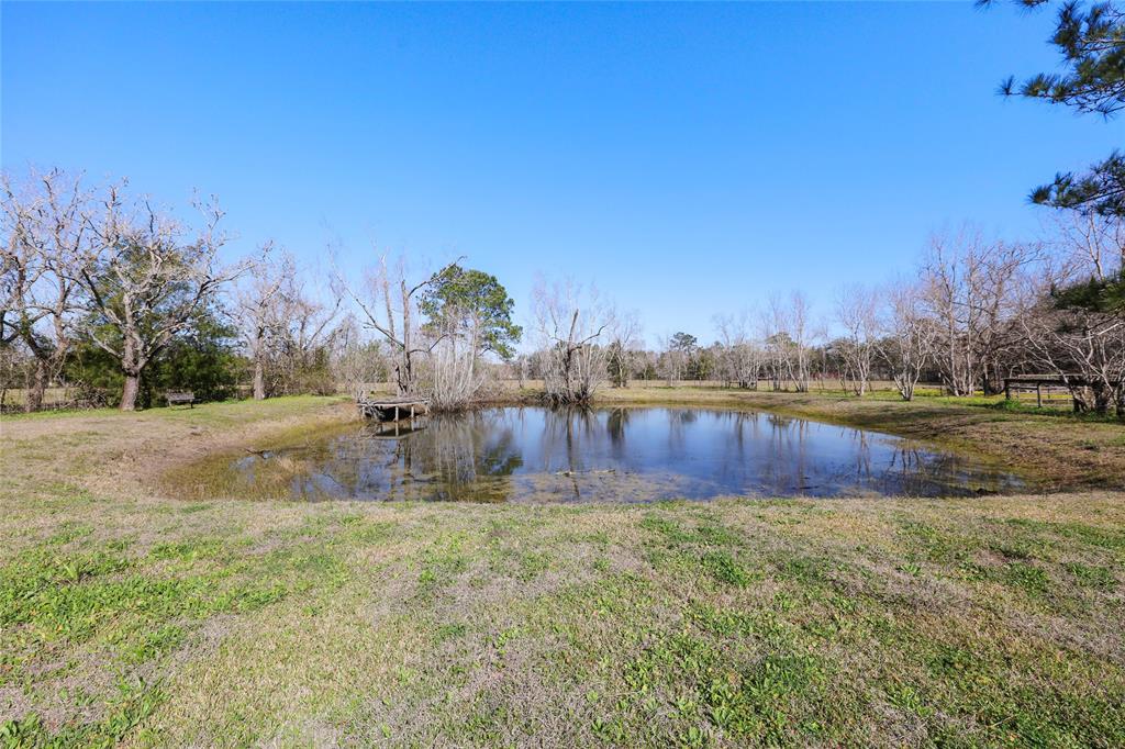 1720 Dahlstrom Road, Alvin, Texas image 43