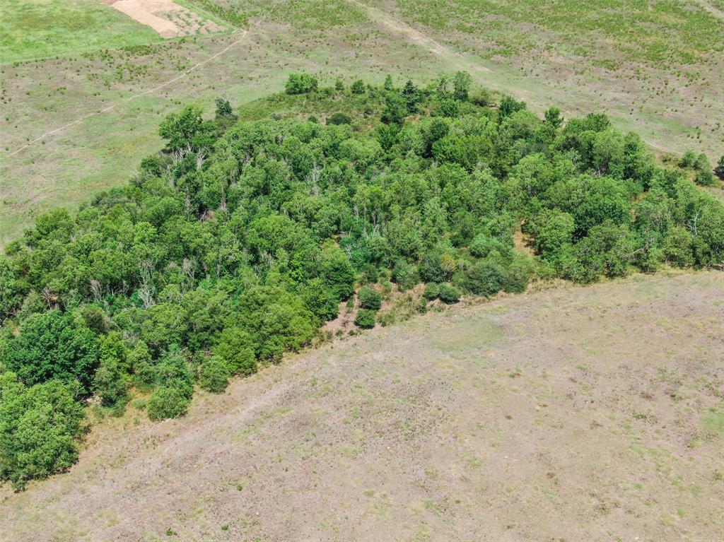 98 AC Fields Store Road, Waller, Texas image 8