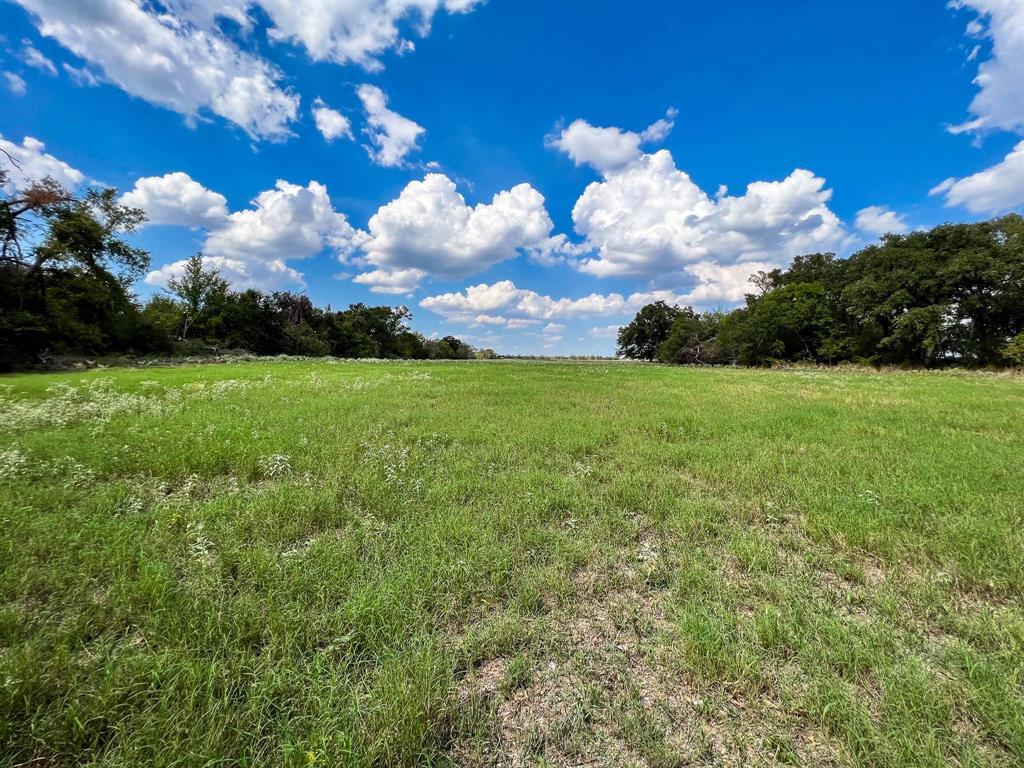 Tract 8 Fm 2745 Fall, Kosse, Texas image 17