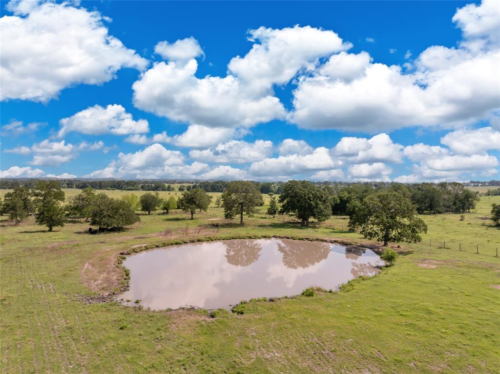 8978 Farm To Market 3090 Road, Anderson, Texas image 47