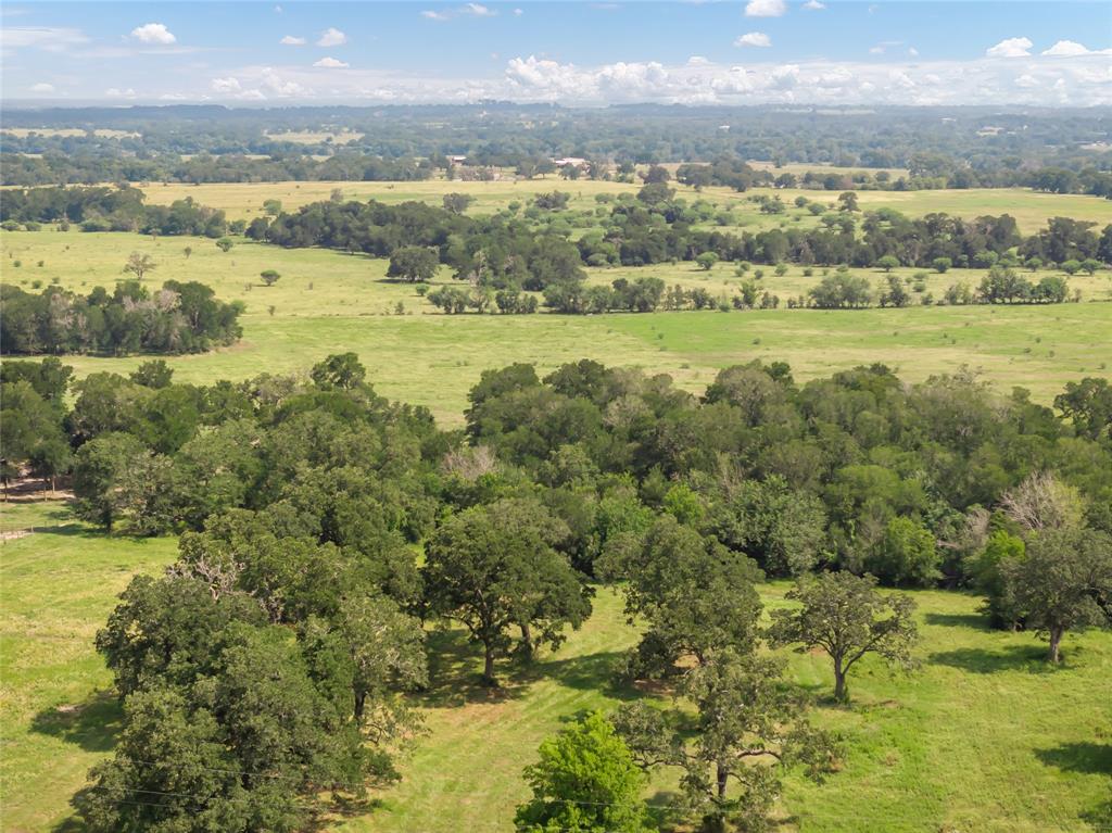 8978 Farm To Market 3090 Road, Anderson, Texas image 45