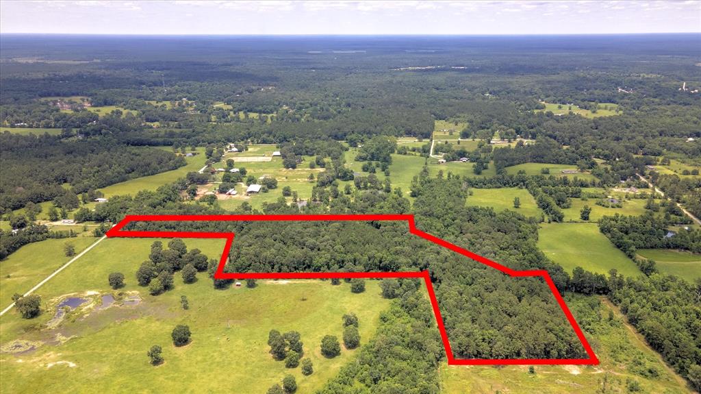 00 Lloyd Fregia Road, Batson, Texas image 10