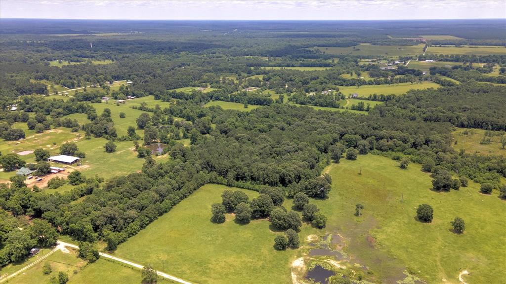 00 Lloyd Fregia Road, Batson, Texas image 23