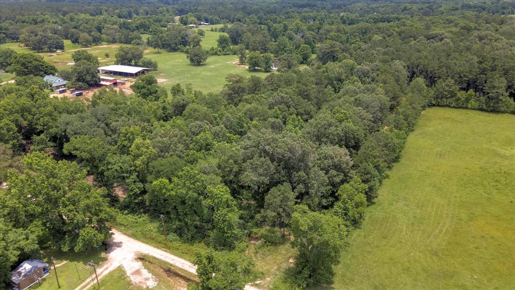 00 Lloyd Fregia Road, Batson, Texas image 6