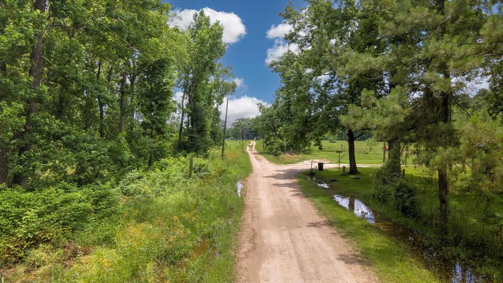 00 Lloyd Fregia Road, Batson, Texas image 4