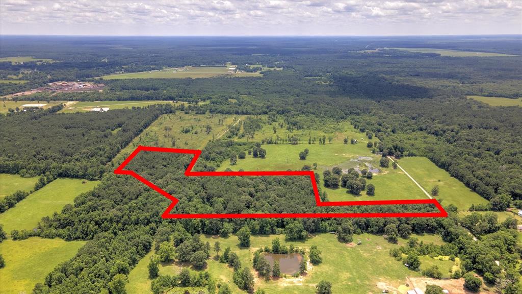 00 Lloyd Fregia Road, Batson, Texas image 19