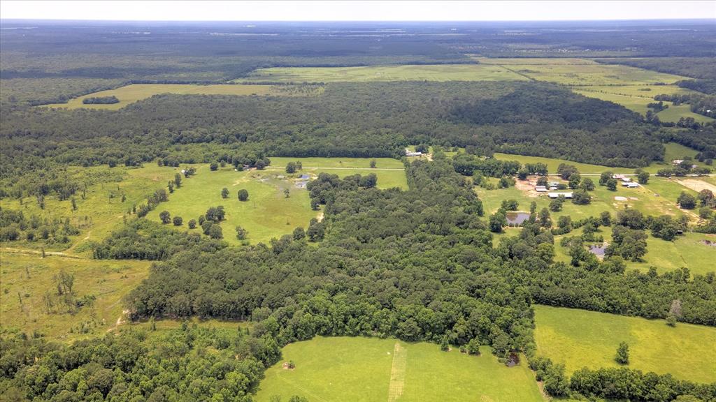 00 Lloyd Fregia Road, Batson, Texas image 15