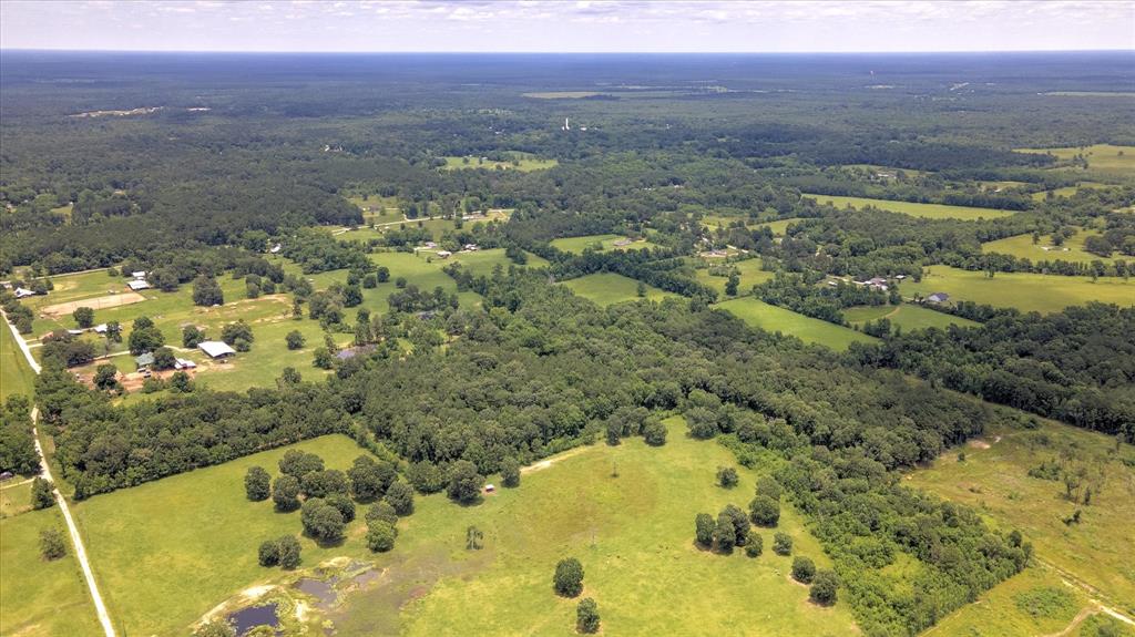 00 Lloyd Fregia Road, Batson, Texas image 9