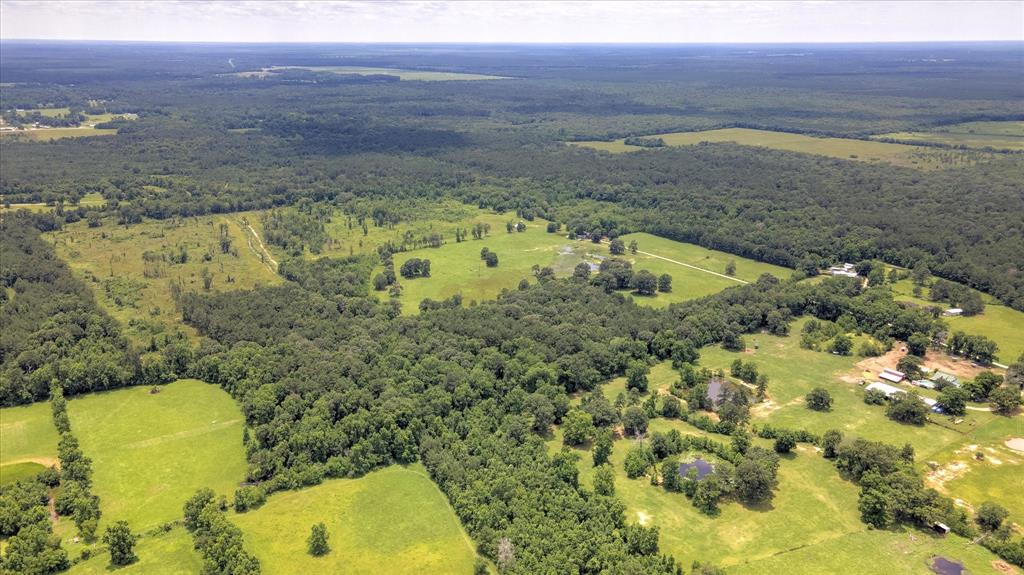 00 Lloyd Fregia Road, Batson, Texas image 17