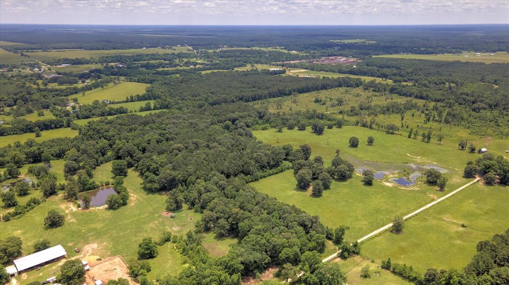 00 Lloyd Fregia Road, Batson, Texas image 21