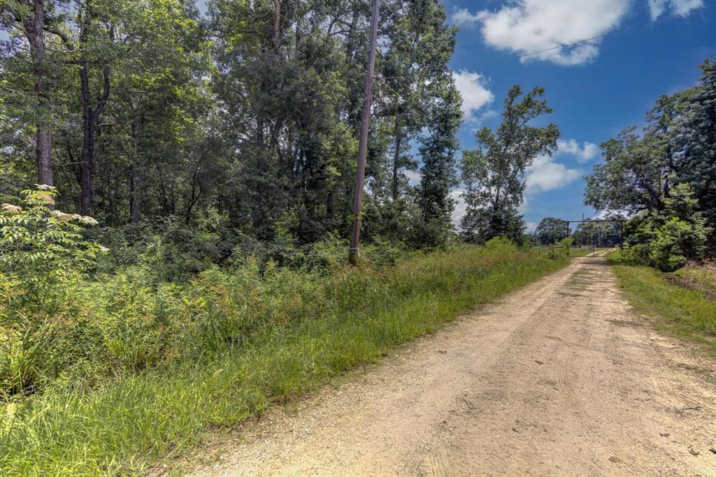 00 Lloyd Fregia Road, Batson, Texas image 3