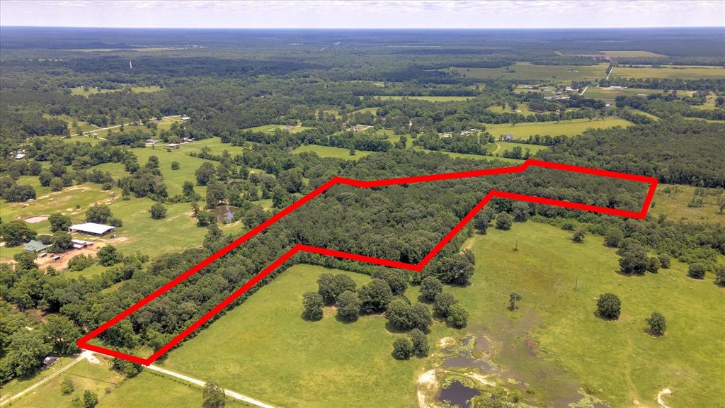 00 Lloyd Fregia Road, Batson, Texas image 22
