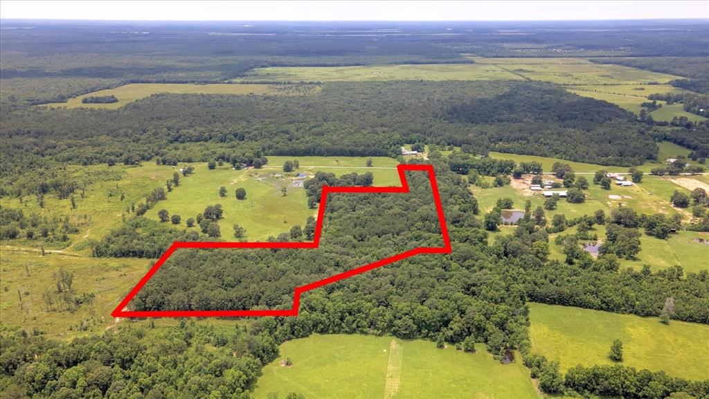 00 Lloyd Fregia Road, Batson, Texas image 14