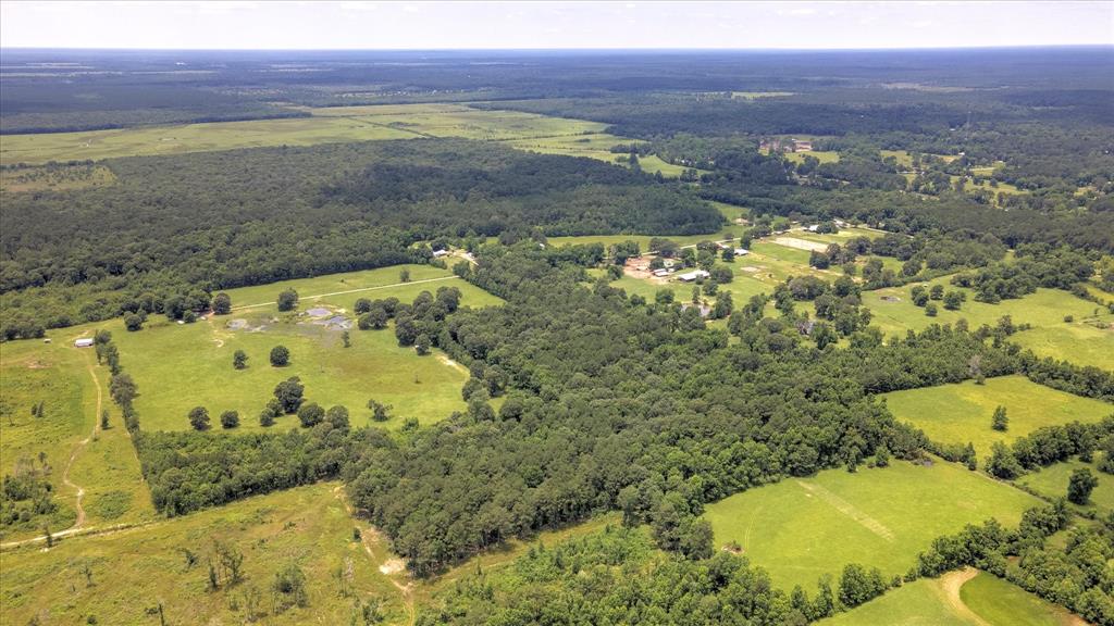 00 Lloyd Fregia Road, Batson, Texas image 13