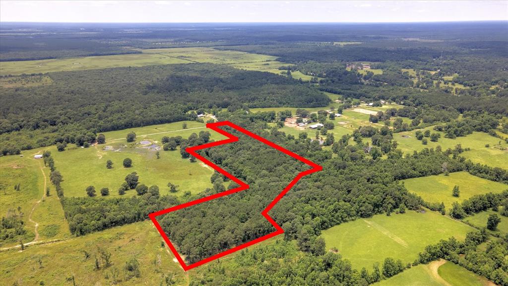 00 Lloyd Fregia Road, Batson, Texas image 12
