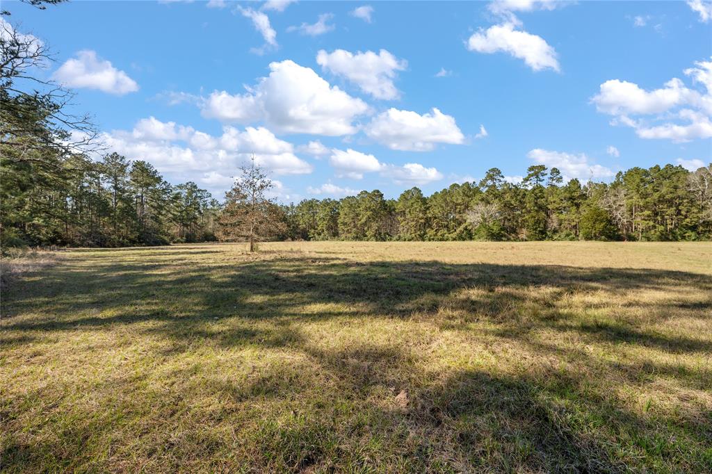 TBD County Road 2254, Cleveland, Texas image 6