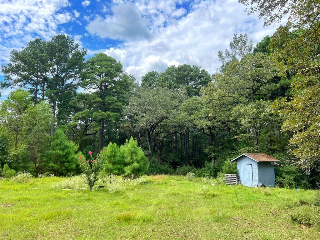 3832 Cr 145, Centerville, Texas image 34