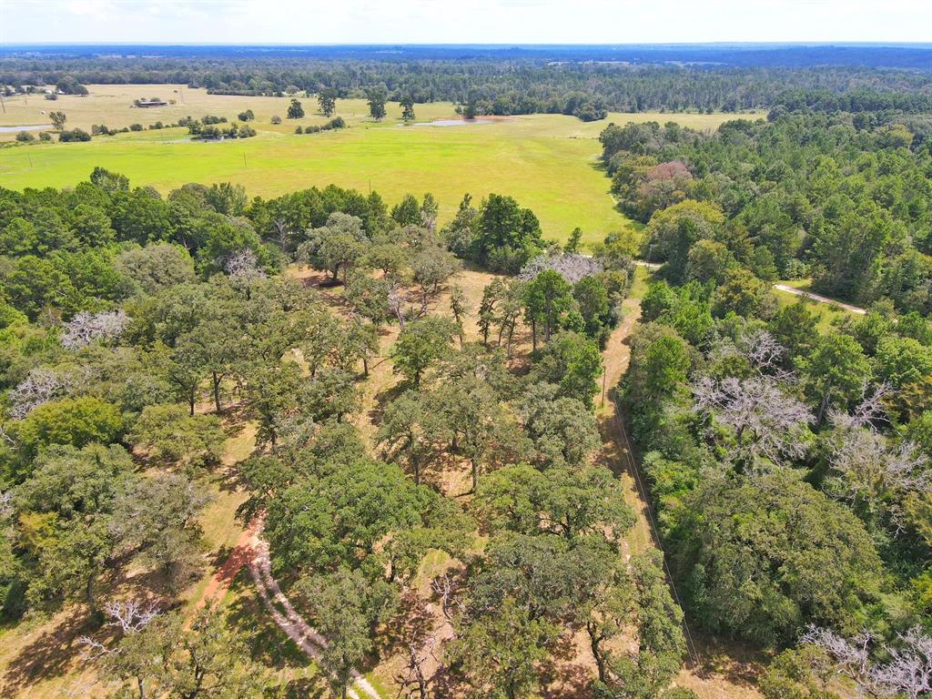 3832 Cr 145, Centerville, Texas image 3