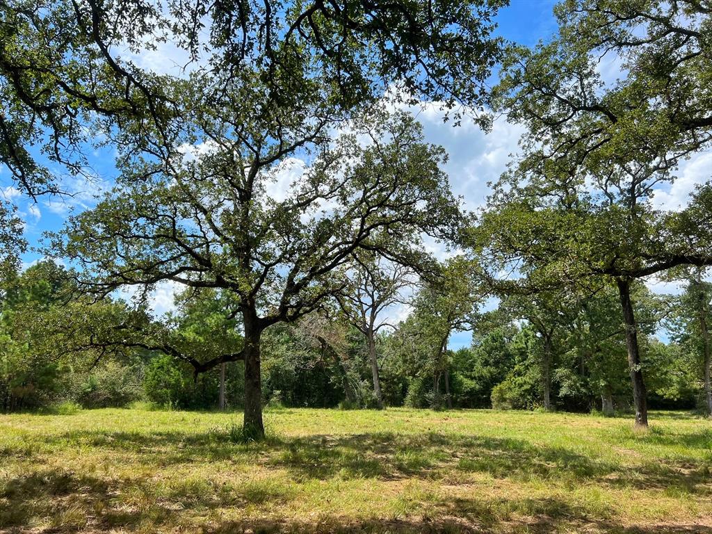 3832 Cr 145, Centerville, Texas image 32