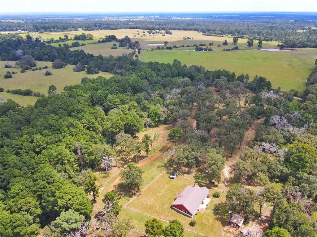 3832 Cr 145, Centerville, Texas image 9