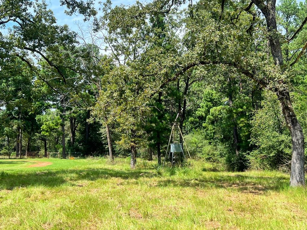 3832 Cr 145, Centerville, Texas image 12