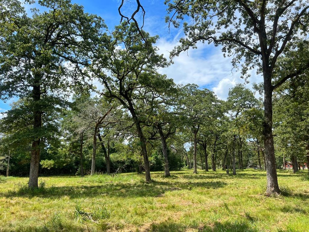 3832 Cr 145, Centerville, Texas image 33