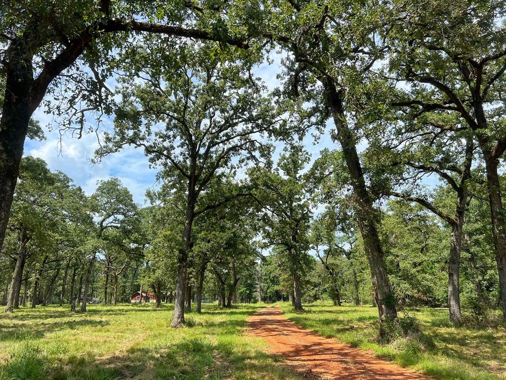 3832 Cr 145, Centerville, Texas image 31