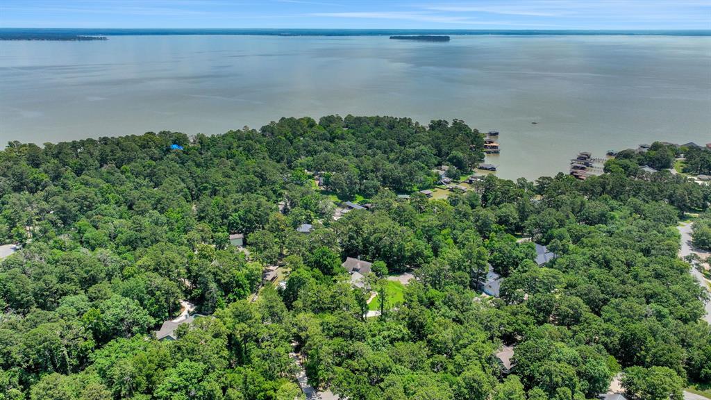 81 Baron Drive, Coldspring, Texas image 49