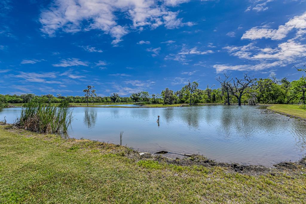 5431 County Road 506, Brazoria, Texas image 31