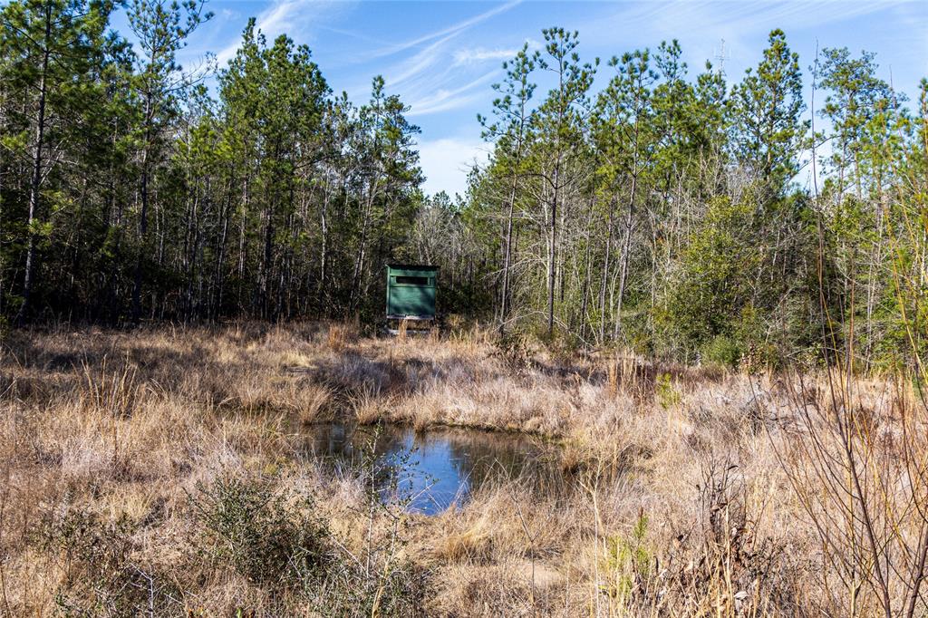 1865 N Hwy 326, Kountze, Texas image 2