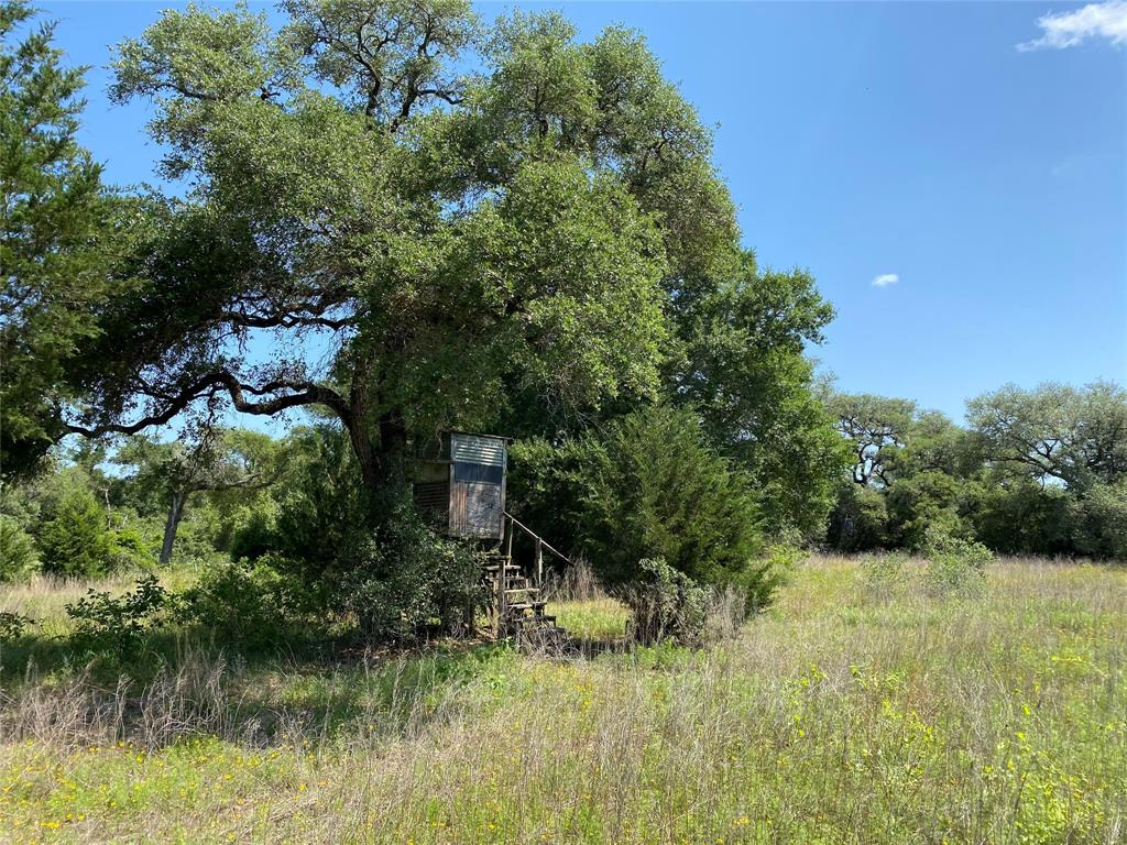 6442 Hwy 71, Garwood, Texas image 13