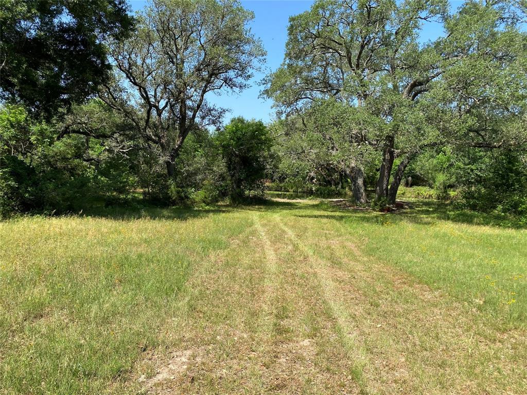 6442 Hwy 71, Garwood, Texas image 6