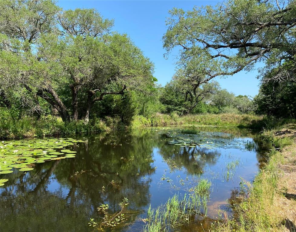 6442 Hwy 71, Garwood, Texas image 1