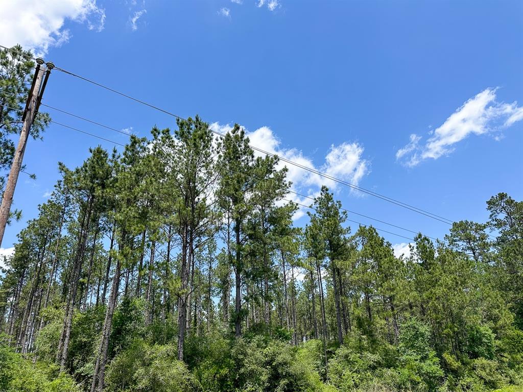 19 Highway 94, Groveton, Texas image 8