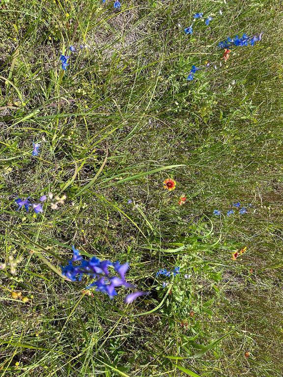 19 Highway 94, Groveton, Texas image 3