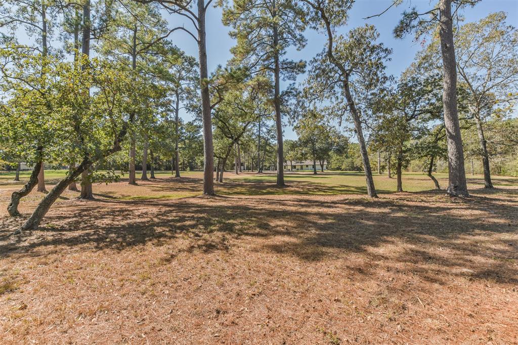 26791 Clark Road, Waller, Texas image 49
