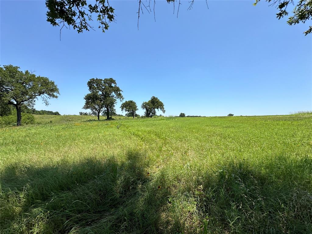 TBD Tract 3 Fm 2547, Fairfield, Texas image 15