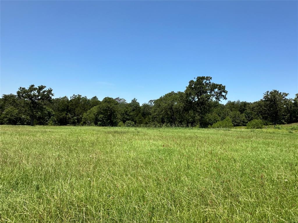 TBD Tract 3 Fm 2547, Fairfield, Texas image 18