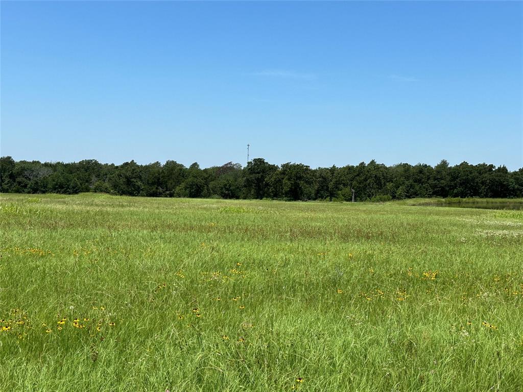 TBD Tract 3 Fm 2547, Fairfield, Texas image 8
