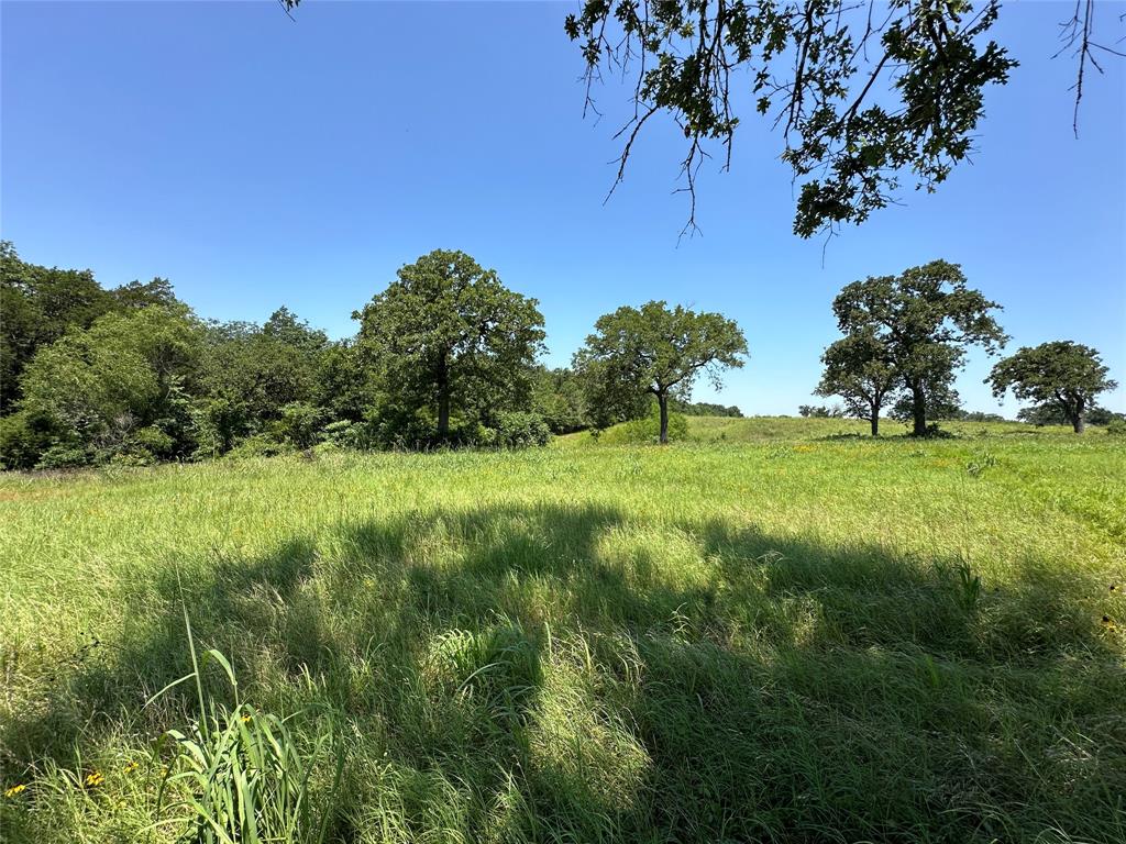 TBD Tract 3 Fm 2547, Fairfield, Texas image 14
