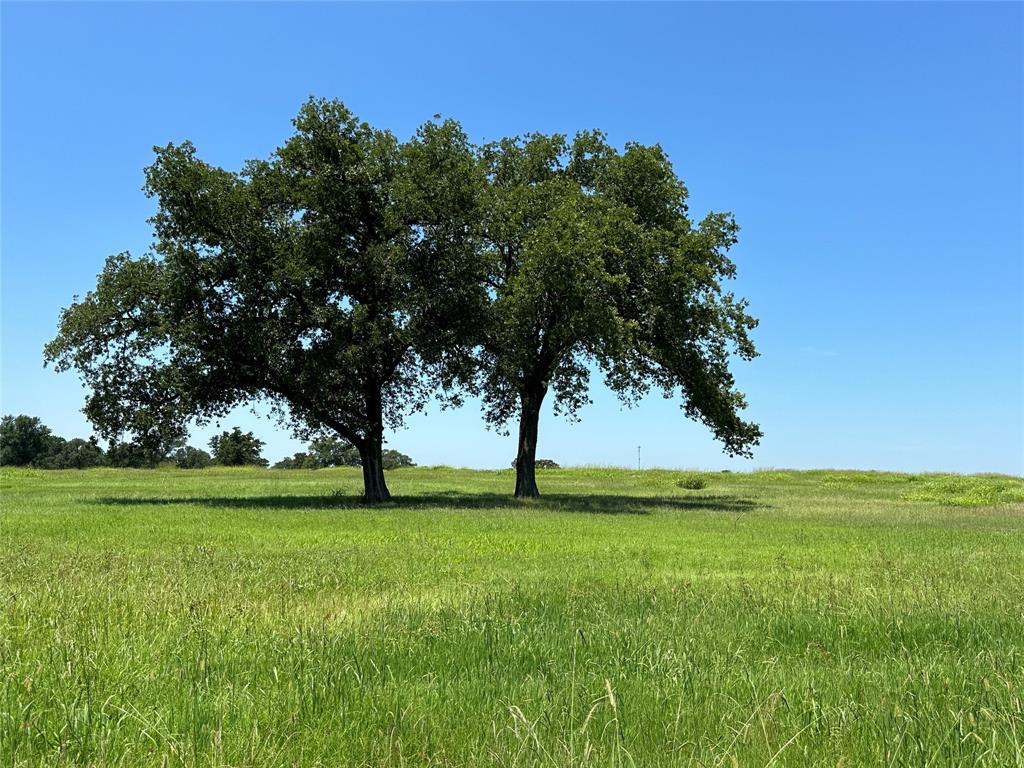 TBD Tract 3 Fm 2547, Fairfield, Texas image 5