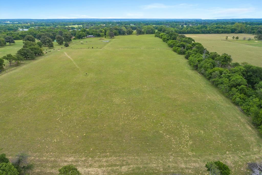 TBD Vz County Road 4412, Ben Wheeler, Texas image 12