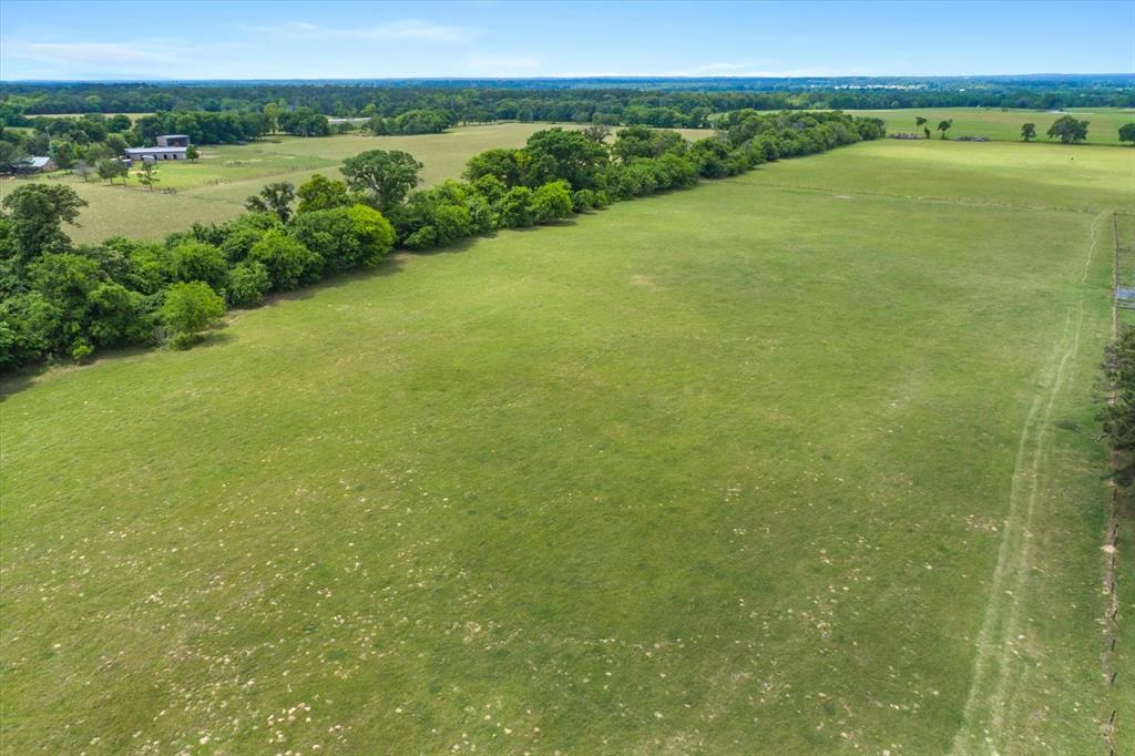 TBD Vz County Road 4412, Ben Wheeler, Texas image 7